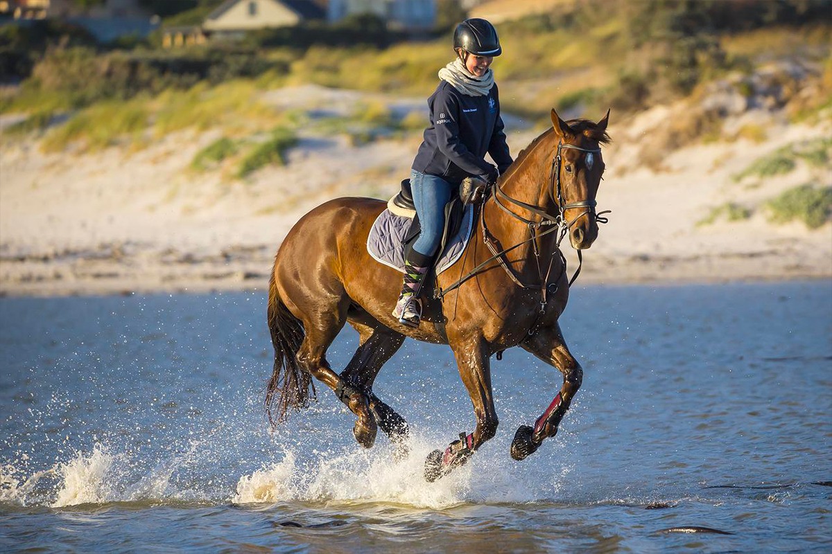 Est ce L quitation Est Un Sport Www actucheval fr